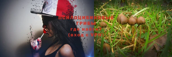 бошки Волоколамск