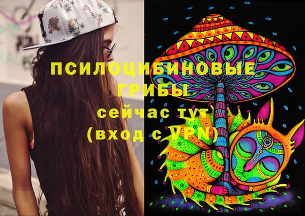 бошки Волоколамск