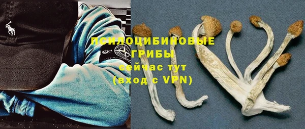 бошки Волоколамск
